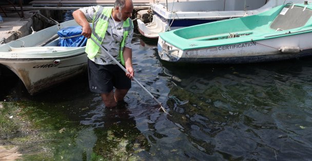 Darıca'da Mavi Vatan seferberliği
